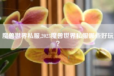 魔兽世界私服,2023魔兽世界私服哪些好玩？