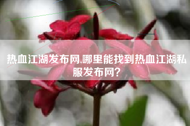 热血江湖发布网,哪里能找到热血江湖私服发布网？